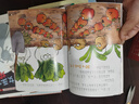 藏在童話(huà)里的數學(xué) 注音版全套12冊 抖音同款 一年級二年級三年級 啟蒙數學(xué)繪本  3-6歲幼兒園推薦  寶寶早教思維訓練 數學(xué)啟蒙思維訓練 有趣好玩的數學(xué) 曬單實(shí)拍圖
