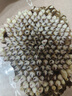 茨格曼 倉鼠墊料木屑尿砂金絲熊兔子糧食花枝鼠蘆丁雞用品500g 曬單實拍圖