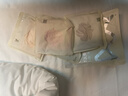 佐丹奴褲子女純棉打褶通勤風(fēng)半松緊腰薄款休閑八分褲05425342 曬單實(shí)拍圖