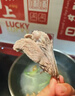 仲亨記牛羊肉料包30g 贈品隨羊肉一起發(fā)貨（單拍不發(fā)貨）源頭直發(fā) 曬單實(shí)拍圖