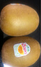 佳沛（zespri）新西蘭  陽光金奇異果16粒禮盒經典果單果約 77-103g 水果 獼猴桃 曬單實拍圖