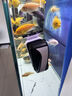 YEE魚缸刷磁力刷玻璃擦清洗神器擦缸器無死角刷子水族箱清理清潔工具 【強磁款帶除藻刮刀】中號（適用缸壁15mm） 曬單實拍圖