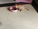 地獄廚房犬貓零食雞小胸凍干雞胸肉貓咪狗狗通用100g*10袋 曬單實(shí)拍圖