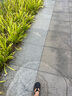 TANXIANZHE探險(xiǎn)者露營車戶外折疊便攜野營車自駕游擺攤買菜手推車營地車 曬單實(shí)拍圖