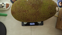 京鮮生海南老樹菠蘿蜜 20-25斤裝 凈重20斤+  生鮮水果 源頭直發(fā) 曬單實拍圖