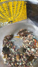 高清魚缸 生態(tài)缸桌面溪流缸迷你金魚缸小型水族箱養(yǎng)魚龜缸PET 特大號(hào)魚缸【超清8K高透/摔不碎/久用不糊】 曬單實(shí)拍圖