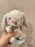 Jellycat米色甜美小兔小短腿公仔動(dòng)物毛絨玩偶娃娃生日七夕情人節(jié)禮物 甜美小兔 One Size 曬單實(shí)拍圖