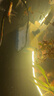 森森（SUNSUN）耀藍魚(yú)缸水泵小型潛水泵過(guò)濾泵抽水泵YQP-1000 15W 曬單實(shí)拍圖