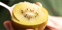 佳沛（zespri）新西蘭 陽(yáng)光金果12粒單果約122-146g 獼猴桃 中秋水果禮盒 曬單實(shí)拍圖