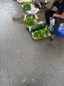skg按摩儀腰部按摩器G5【王一博同款】暖宮腰帶姨媽神器護腰熱敷中頻脈沖  送男女朋友父母生日禮物 曬單實(shí)拍圖