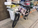 鳳凰（Phoenix）兒童自行車6-12歲學(xué)生車中大童山地車男女單車腳踏車20寸 櫻桃粉 曬單實(shí)拍圖