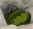 【產(chǎn)地直采】麒麟奶油西瓜 約5.5kg 曬單實(shí)拍圖