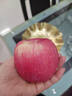 洛川蘋果陜西延安特產(chǎn)紅富士時令蘋果水果禮盒送蘋果生鮮新鮮脆甜整箱批發(fā) 10斤中果75-80mm（凈重8.5斤） 曬單實拍圖