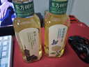 農(nóng)夫山泉 東方樹葉綠茶500ml*15瓶無糖茶飲料0糖0脂0卡整箱裝夏天解渴飲品 曬單實拍圖