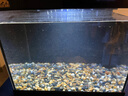 森森金麟超白玻璃魚缸一體缸自循小型懶人家用水族箱LE-300 曬單實拍圖