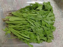 【富硒】香芹苗200g 曬單實(shí)拍圖