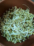 田園夢(mèng)生豆芽機(jī)家用全自動(dòng)紫砂豆芽罐豆芽發(fā)芽神器豆芽菜機(jī)陶瓷豆芽罐桶 大號(hào)紫砂豆芽罐（每年送麥飯石） 曬單實(shí)拍圖