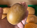 佳沛（zespri）新西蘭  陽光金奇異果18粒禮盒優(yōu)選果單果約101-124g 獼猴桃水果 曬單實(shí)拍圖