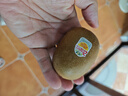佳沛（zespri）新西蘭 陽光金奇異果12粒禮盒特大果單果約122-146g 獼猴桃 水果 曬單實拍圖