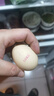 九華糧品 有機(jī)富硒土雞蛋30枚 凈重2.4斤 散養(yǎng)草雞蛋柴雞蛋 禮盒 曬單實(shí)拍圖