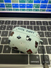 Smorss適用airpods pro二代保護(hù)套airpodspro2保護(hù)套蘋果無線藍(lán)牙耳機(jī)保護(hù)殼防摔卡通磨砂軟殼 潑墨小狗 曬單實拍圖
