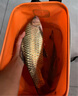 鱘海盤車溪流竿超輕超硬28調(diào)超細沖釣漂流釣短節(jié)便攜盤車竿釣魚竿 3.6m 盤車款+紅盤車輪+煙漂+線 曬單實拍圖