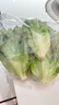 【高原夏菜】生菜400g 曬單實(shí)拍圖