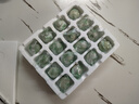 神郵 高郵松花蛋皮蛋 熟16枚*60g家庭裝 即食麻鴨松花蛋 中秋企業(yè)團購 曬單實(shí)拍圖