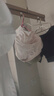 FitonTon5條裝內(nèi)褲女純棉10A抑菌女士?jī)?nèi)褲中腰可愛少女初中生青春期三角褲 曬單實(shí)拍圖