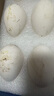 鶴農(nóng)益得鵝蛋新鮮生鵝蛋農(nóng)家喂養(yǎng)孕婦蛋生鮮雜糧散養(yǎng)精品禮盒裝 12枚 1680g 單枚140g左右 曬單實拍圖