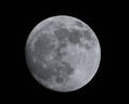 騰龍（Tamron）B061 18-300mm F/3.5-6.3 VC防抖遠攝大變焦18-300微單鏡頭旅游半畫(huà)幅18300 尼康Z卡口 官方標配【送騰龍UV濾鏡+64G存儲卡+清潔套裝】 曬單實(shí)拍圖