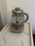 小熊（Bear）煮茶器噴淋式 家用全自動(dòng)蒸汽噴淋煮茶壺 養生壺煮茶水壺加厚玻璃蒸茶器沖泡茶壺煮花茶黑茶普洱茶 ZCQ-A08H2【365天以換代修】 0.8L 曬單實(shí)拍圖