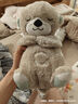 費(fèi)雪（Fisher-Price）嬰兒玩具安撫玩偶哄睡生日禮物-音樂(lè)安撫酣睡小水獺GHL41 曬單實(shí)拍圖