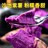 薯再來 紅薯家族組合裝 當季現(xiàn)挖新鮮直達 超市品質(zhì) 帶箱5斤裝中大果【2兩以上】 榴蓮蜜薯+冰激凌紅薯+紫薯 曬單實拍圖