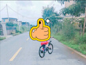 鳳凰山地自行車(chē)男女變速山地車(chē)碟剎青少年兒童自行車(chē)學(xué)生單車(chē) 星際 粉紫【變速】后座+LED燈+輻條輪 22寸【適合130-170cm】 曬單實(shí)拍圖