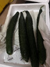 新鮮黃瓜現摘現發(fā)新鮮蔬菜生鮮可生吃炒菜非水果黃瓜 凈重 500g 試吃裝 曬單實(shí)拍圖