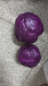 京鮮生山東新鮮紫甘藍(lán)凈重4.5斤 新鮮蔬菜 單果350g+沙拉蔬菜 源頭直發(fā) 曬單實拍圖