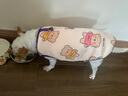 嬉皮狗（hipidog） 狗狗衣服秋冬季泰迪衣服小型犬保暖打底衫防掉毛比熊幼犬衣服 杏色小熊絨衣 L (建議體重8-12斤) 曬單實(shí)拍圖