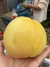 布卡星R3高纖營(yíng)養兔糧 成兔幼兔垂耳兔全階兔糧食2.5kg 曬單實(shí)拍圖