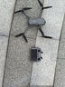 大疆 DJI Air 3S 雙攝旗艦旅拍無(wú)人機 一英寸主攝高清專(zhuān)業(yè)航拍器 夜景全向主動(dòng)避障跟拍遙控飛機 暢飛三電套裝（帶屏遙控器） 無(wú)隨心換 無(wú)內存卡 DJI 65W 便攜充電器+DJI 增強圖傳模塊 曬單實(shí)拍圖