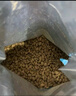 皇家幼貓貓糧 幼貓奶糕 K36 通用糧 4-12月 10KG 曬單實(shí)拍圖