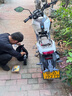 猛獅春風原廠ST150狒狒SR250NKSR400NKGT650CLX750國賓摩托車電瓶 MG8ZV-(ST狒狒/150NK/夜貓) 曬單實拍圖