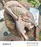 歸隱（GUIYIN） 歸隱 農家大河放養(yǎng)散養(yǎng)老鵝 鵝肉鵝掌大白鵝活體現(xiàn)殺新鮮土鵝肉 2年老鵝 殺后7-8斤（帶心肝胗） 曬單實拍圖