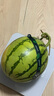 【產(chǎn)地直采】麒麟奶油西瓜 約4.5kg 曬單實(shí)拍圖