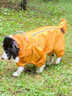 大狗狗雨衣防水寵物衣服中大型犬金毛薩摩耶四腳全包肚子尾巴雨具 黃色-四腳全包壓膠防水（公狗） 20碼（背長(cháng)45cm胸圍70cm） 曬單實(shí)拍圖
