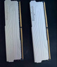 光威（Gloway）32GB(16GBx2) DDR4 3600 臺式機(jī)內(nèi)存條 天策 馬甲條 海力士CJR CL18 皓月白 曬單實拍圖