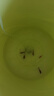 霆徽小型增氧氧氣泵魚缸增氧泵氧氣泵魚缸微型增氧泵打充氧機(jī)車增氧泵 曬單實(shí)拍圖