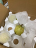 京鮮生 河北青翠蜜梨 凈重4.5斤 單果250g+ 青皇冠梨 生鮮水果 源頭直發(fā) 曬單實拍圖