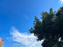 郁美凈兒童洗護(hù)二合一 寶寶洗頭洗澡溫和洗發(fā)水 七果洗發(fā)沐浴露550g  曬單實拍圖