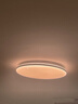 飛利浦（PHILIPS）客廳吸頂燈全光譜護(hù)眼智能臥室燈已接入米家APP流螢48W【包安裝】 曬單實拍圖